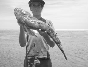 Jonah Gagnuss with a 2.5kg lizard prior to release.